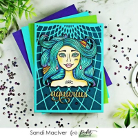 Picket Fence Studios Geo Label 4x6 Inch Cover Plate Dies (PFSD-163) (745558018014)